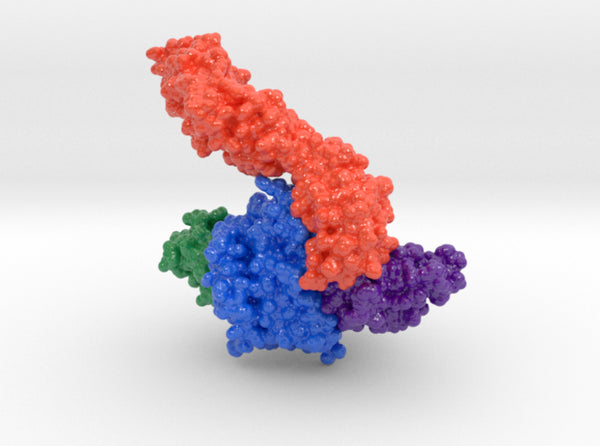 IL-27 quaternary receptor signaling complex 7U7N