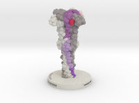 SARS-CoV-2 Spike Glycoprotein Postfusion 6XRA