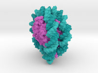 Nucleosome 6PWE 3d printed