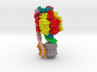 ATP Synthase 6OQV