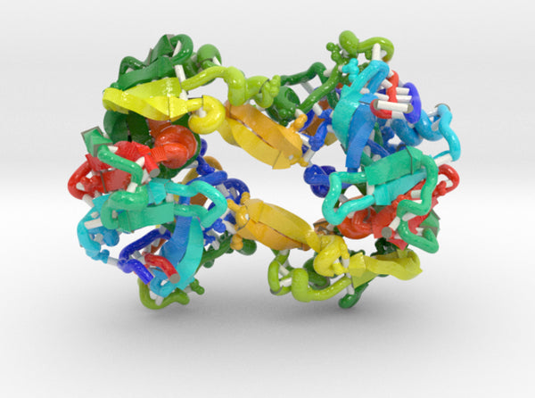 Cathepsin D 1LYW