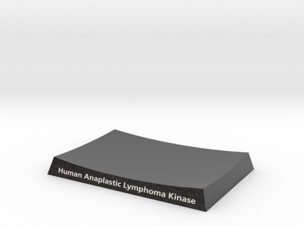 Human Anaplastic Lymphoma Kinase Base