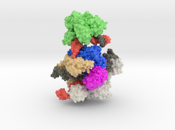 SpCas9 MMLV RT pegRNA Target DNA complex 8WUS