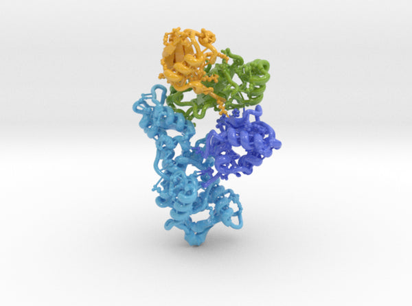 Ubiquitin E2 Ub E3 9B55