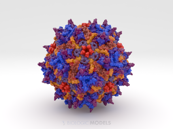 Adeno-associated virus 2 1L93