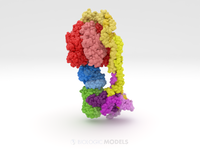 ATP Synthase 8h9v