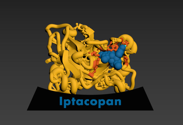 Factor B in Complex with Iptacopan and QR Code Base