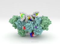 HIV-1 Strand Transfer Complex Intasome 5U1C