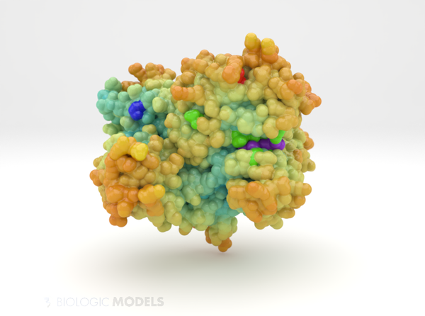 Phosphoinositide 3-Kinase PI3K 5DXT