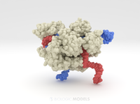 CRISPR SaCas9-sgRNA-DNA Ternary Complex 7VW3