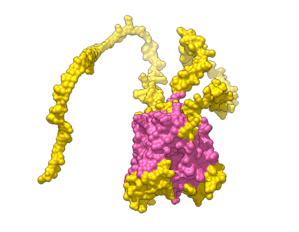 PSEN1 AF-A0A024R6A3-F1