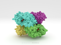 Streptococcus parasangunini Gtf3 glycosyltransferase 3QKW