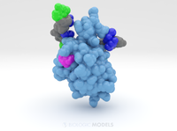 TDP-43 Mutant in Complex with DNA 4y0f