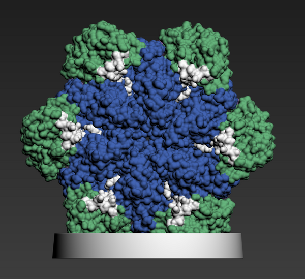 ATPase 5FTN-down (Full-Color Plastic)