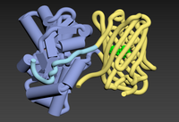 iGluSnFR3 in complex with L-glutamate 9FBU