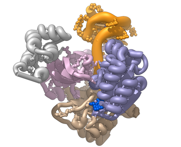 PiF1 bound to a G-quadruplex 8XAK