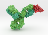 Monoclonal IgG4 Antibody bound to PD1 5DK3 5GGR