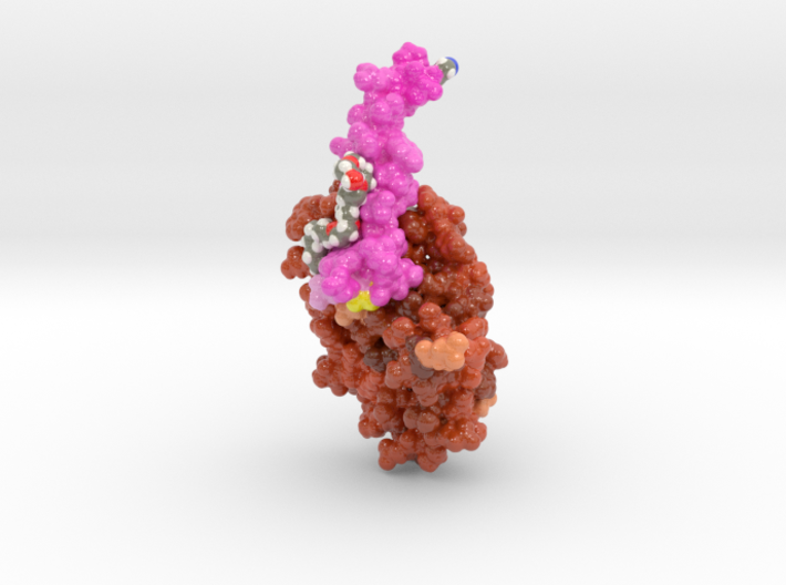 Semaglutide (Ozempic) in Complex with GLP-1 Receptor 4ZGM – Biologic Models