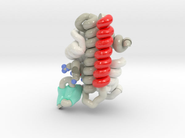 CENP-Histone Bound by Holiday Junction 3d printed