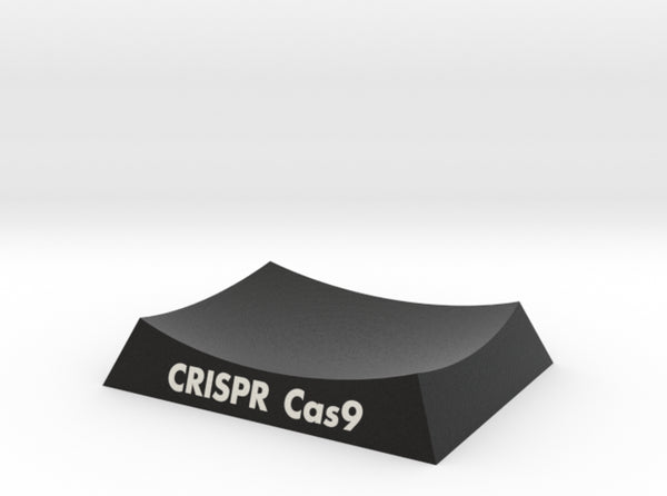 CRISPR Cas9 Base 3d printed