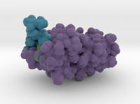 Polybromo Peptide Complex 2KTB 3d printed
