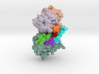 DXP Synthase-Open 60UW 3d printed