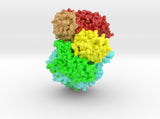 mdm_L-Protein_VSV_ml_vB4 3d printed