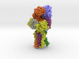 T Cell Receptor CD3 Hexamer Complex 6JXR 3d printed