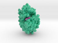 Spectinomycin 6XXQ 3d printed