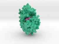 Spectinomycin 6XXQ 3d printed