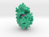 Spectinomycin 6XXQ 3d printed