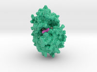 Spectinomycin 6XXQ 3d printed