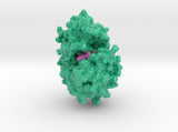 Spectinomycin 6XXQ 3d printed