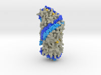 Superhelix Model of High Density Lipoprotein 3K2S 3d printed