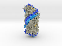 Superhelix Model of High Density Lipoprotein 3K2S 3d printed
