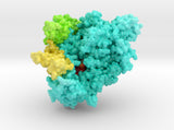 SARS-CoV-2 RNA Polymerase inhibited by Remdesivir 3d printed