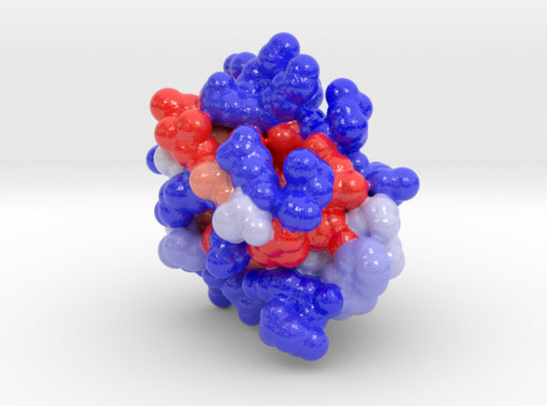 SAM Domain of Polyhomeotic 1KW4 3d printed