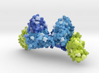 Magrolimab 5IWL 3d printed
