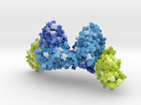 Magrolimab 5IWL 3d printed
