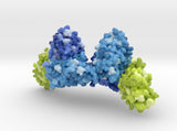 Magrolimab 5IWL 3d printed