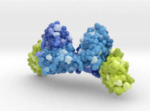 Magrolimab 5IWL 3d printed