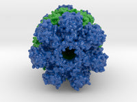Proteasome 1Q5R 3d printed