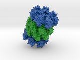 Proteasome 1Q5R 3d printed