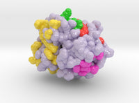 Protein Phosphatase 1 4MOV 3d printed