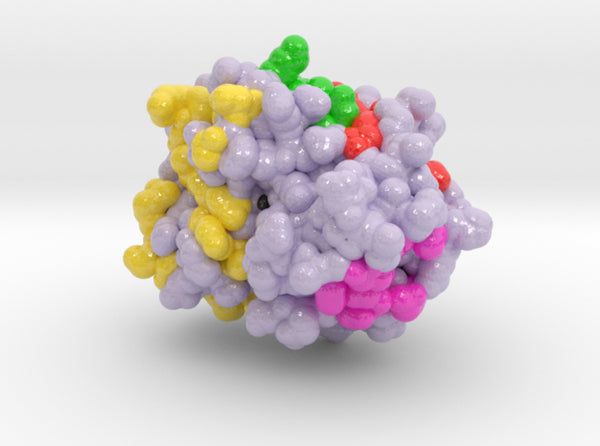 Protein Phosphatase 1 4MOV 3d printed