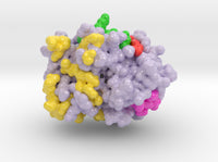 Protein Phosphatase 1 4MOV 3d printed