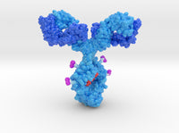 Antibody Drug Conjugate 3d printed