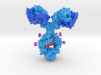 Antibody Drug Conjugate 3d printed