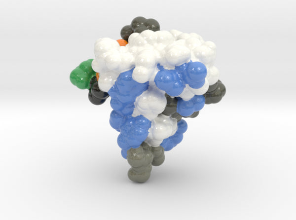 INSULIN-LIKE GROWTH FACT 2GF1 3d printed