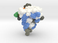 INSULIN-LIKE GROWTH FACT 2GF1 3d printed